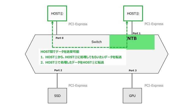 CK000140_fig1-9.jpg